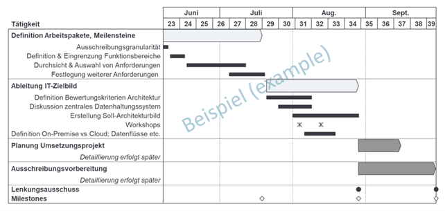 Die Neueinführung eines ETRM-Systems bzw. Optimierung der IT-Systemlandschaft bedarf einer sorgfältigen Planung