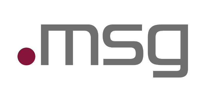 msg logo