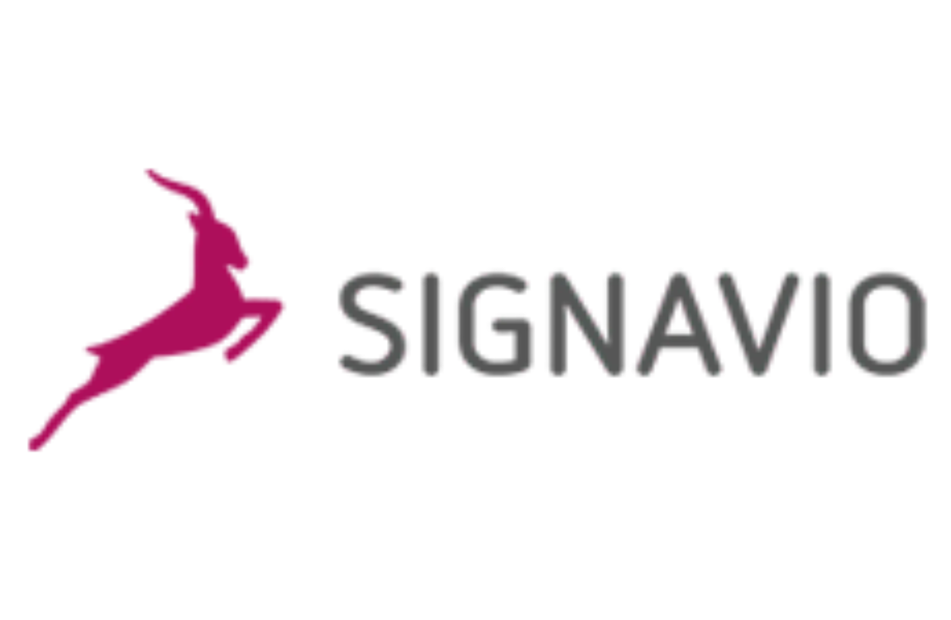 flipper_logo_signavio