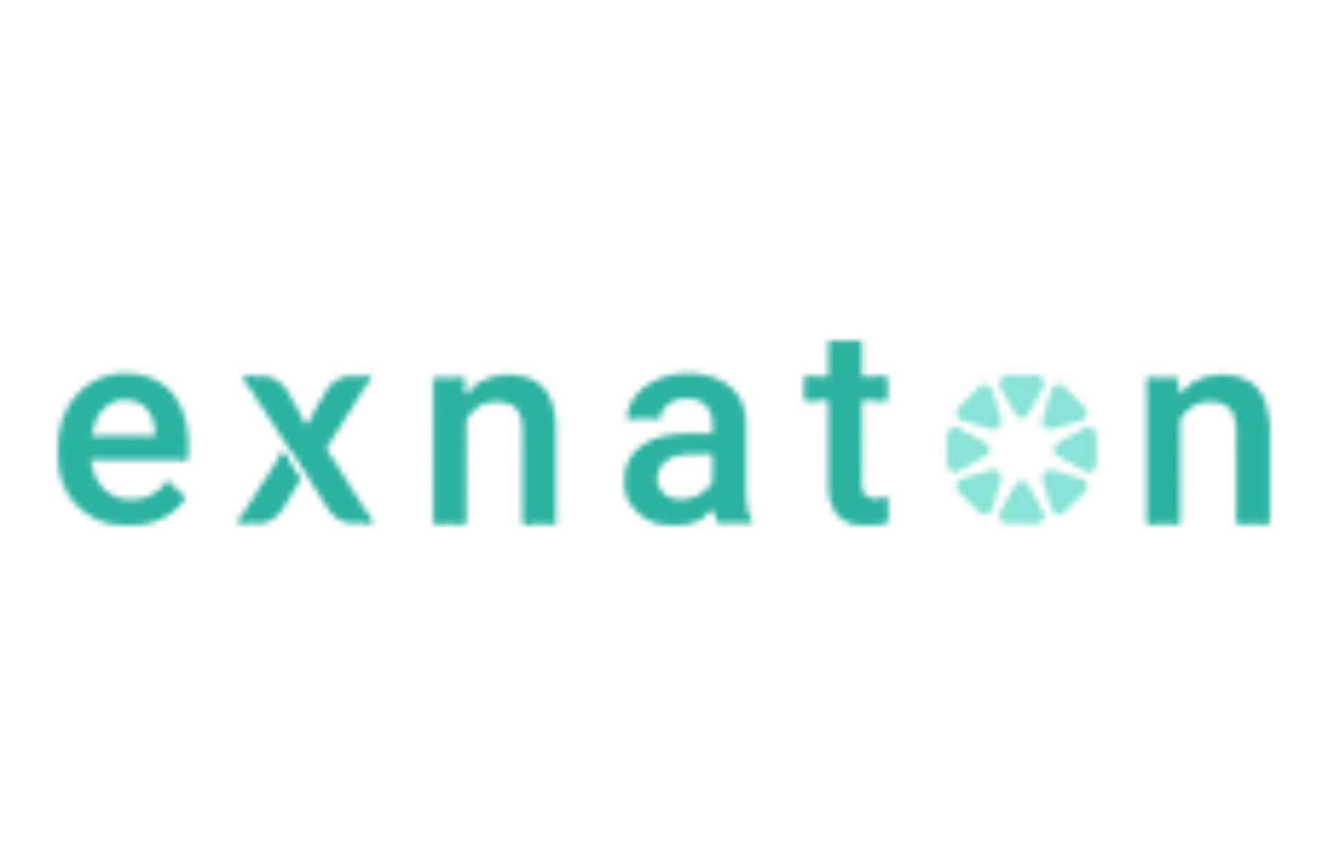 Logo exnaton